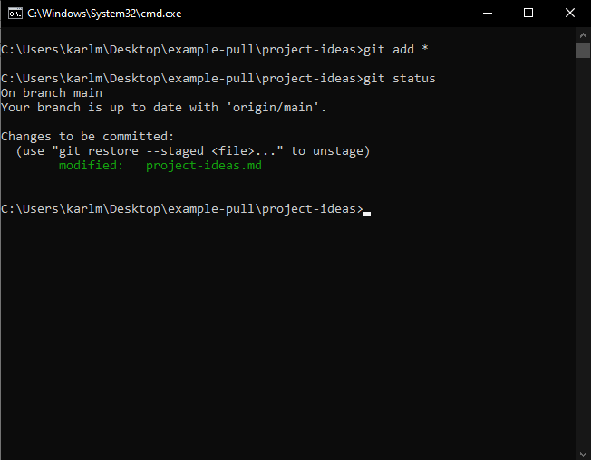 Screen of Windows CLI after git add *